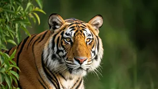 Related Stories banner