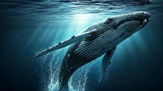 Unlocking Animal Conversations: 4 Groundbreaking AI Projects Bridging the Species Gap