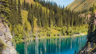 Visa On Arrival Convenience Boosts Georgia And Kazakhstan Tourism Among Indian Youth