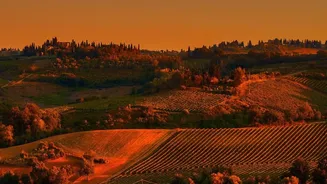 Tuscany Road Trip: Can Combine Art, Hill Towns And Vineyards In One Route