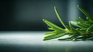 Rosemary: Your Kitchen's Secret Weapon for a Supercharged Immune System