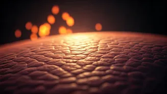 The Fiery Past: How Burns Forged Human Evolution and Our Healing Abilities