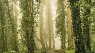 Creating a memory path: What exactly is this