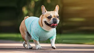 Fashionable Breathable Cotton Pet Apparel Trends For Summer Walks