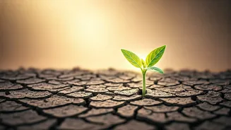 Heartbreak's Horizon: 7 Inspiring Quotes to Rebuild and Find Love Again