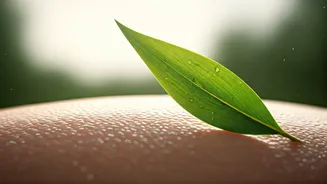 Don't Drop Sunscreen Just Because It's Overcast