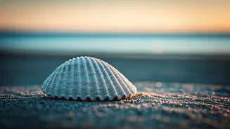 Cancer Horoscope February 25, 2026: Gentle Progress and Harmonious Connections Ahead