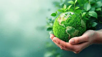 World Environment Day 2026: Simple office celebration ideas to spread awareness in your employees
