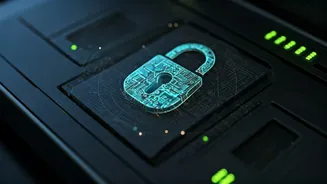 Shielding Your Digital Doorway: Understanding Website Security Verifications