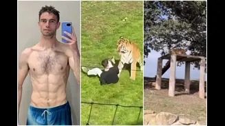Homem postou vídeo de tigre antes de invadir recinto e ser morto por animal.Veja