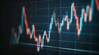 Nifty 50 & Bank Nifty: Trading Strategies for October 24