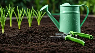 June Gardening Is Prevention, Not Panic