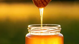 White Honey: Exploring Differences and Health Perks