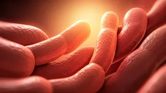 Gut Health & Immunity: Strengthening Children's Defenses