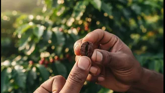 Why single-origin coffee roasters highlight ethical sourcing stories to attract young buyers