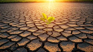 Unveiling Inner Strength: Building Resilience