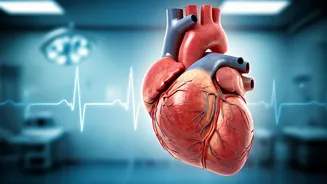 Heart Health: Know the Essential Insights