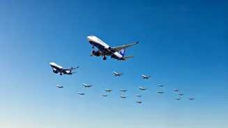 IndiGo's Flight Expansion: Winter Schedule Surge