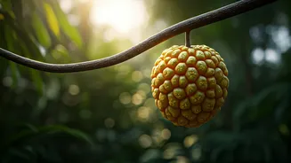 10 Extraordinary Fruit Trees to Discover on Your Next Botanical Adventure