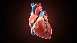 Improve Circulation With These Easy Tips