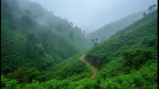 Delhi's Best Monsoon Getaways For Nature Lovers