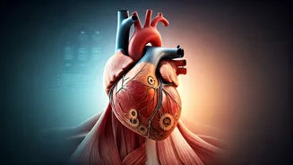 Gemini: April 23, 2026 - Embark on Physical Renewal Beyond Mental Shifts