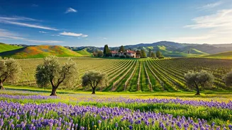 Discover Modesto: California's Springtime Secret of Farms, Vineyards, and Blooms