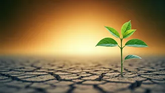 5 Post-Breakup Steps for Faster Healing and Reclaiming Your Joy