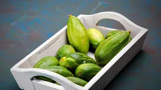 Check Delicate Vegetables And Open Packs Together When Planning A Use-First Produce Box