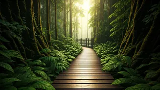 These Elevated Trails Make Monsoon Even Better