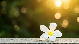 Love Yourself: Heal After a Breakup Now