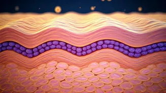 Why Healthy Skin Barriers Matter More Than Ever