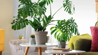 How Multi-Functional Nested Tables Save Precious Living Room Space In Small Metro Rental Apartments