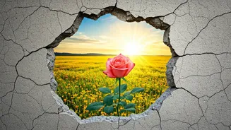 Revolution's Unraveling: A Look Back at Iran's Tumultuous Path