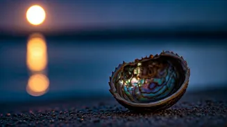 Cancer Horoscope: February 2nd, 2026 - Daily Insights