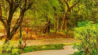 How To Plan An Unforgettable Nature Getaway Near Lucknow On A Small Travel Budget
