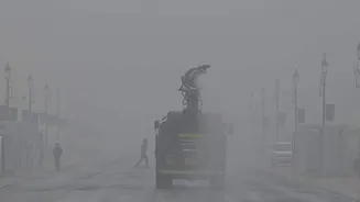 Delhi's winter air carries antibiotic-resistant bacteria: Study