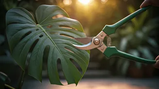 Plant Parents Have One June Task: Pruning