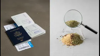 Before Making Decisions, Indian Travellers Flying To Australia Should Check Eligibility And Declare Food Honestly