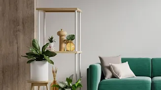 Checking Room Scale Comes First after the 2026 Bold-Sofa Trend