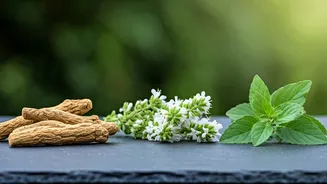 Ayurveda's Secret: 3 Powerful Herbs for Women's Stress & Hormonal Harmony