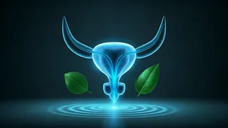 Prostate Wellness: Your Daily Habits for a Healthier Future