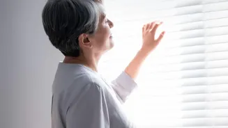 Research On Natural Light Is Giving Fresh Context To The Simple Advice Of Getting Daylight Early