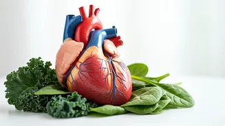 Healthy Heart: 9 Simple Ways to Lower Cholesterol