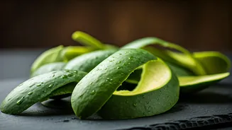 Raw Mango Peels Are India’s Sharpest Kitchen Hack