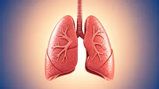 Breathing Easy: Mastering Asthma with Simple Techniques