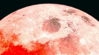 NASA's Artemis II Moon Science Findings In Context: Lunar Surface Colours Drew Researchers' Attention
