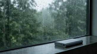 Why a Backup Plan Matters More During Heavy Rain Alerts