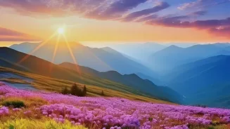 Rare Neelakurinji Flowers Return To Munnar In A Major 2026 Bloom: The Story In Plain English