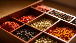 Living in India: An American Mom's 10 Humorous and Insightful Lessons